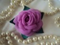 /album/flores/flor-lilas-com-folhas-verde-jpg/